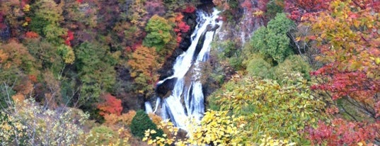 Kirifuri Falls is one of 日光／鬼怒川温泉.