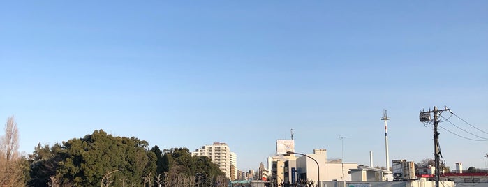 廻沢粕谷歩道橋 is one of 廃人芸.