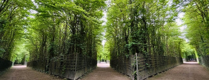 Jardins du Château de Versailles is one of Europe 2019.