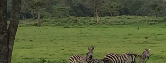 Arusha National Park is one of Ami'nin Beğendiği Mekanlar.