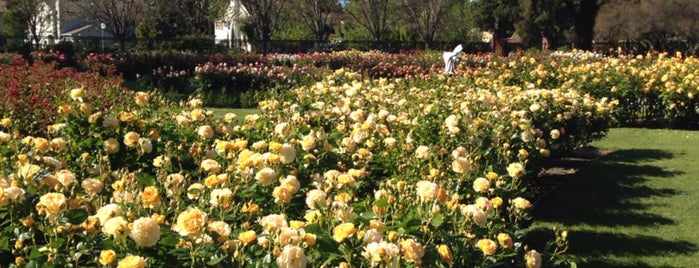 San Jose Municipal Rose Garden is one of Tempat yang Disimpan Arn.