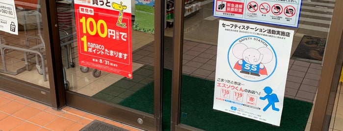 セブンイレブン 前橋国領町店 is one of コンビニ.