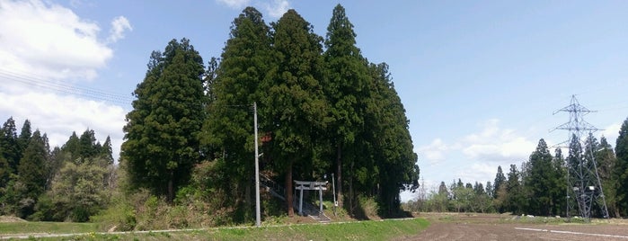 白山神社(千手) is one of 信濃川河岸段丘ウォーク.
