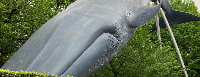 シロナガスクジラ is one of アート_東京.