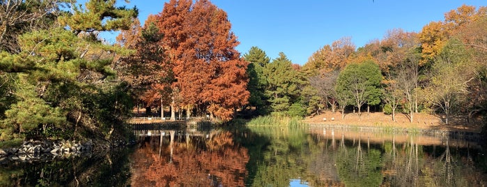 そうか公園 is one of 公園_埼玉県.