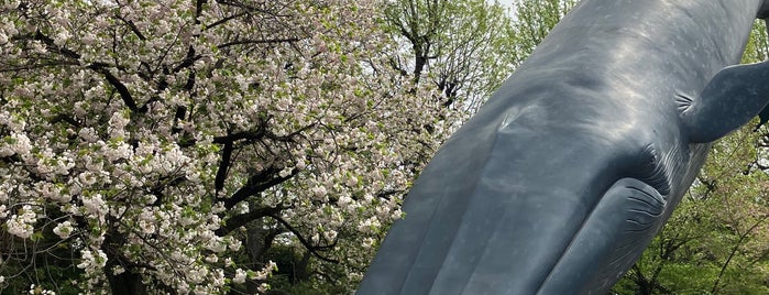 シロナガスクジラ is one of アート_東京.