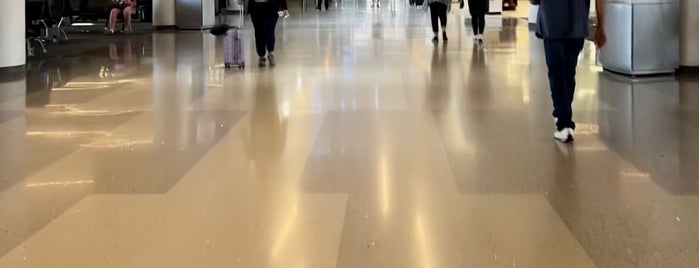 Terminal 3 is one of susan'ın Beğendiği Mekanlar.