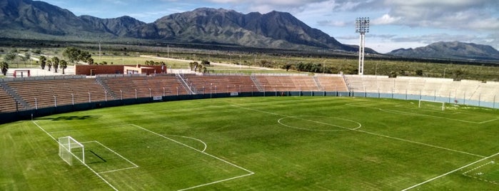 Estadio Juan Gilberto Funes is one of Tempat yang Disukai José Luis.
