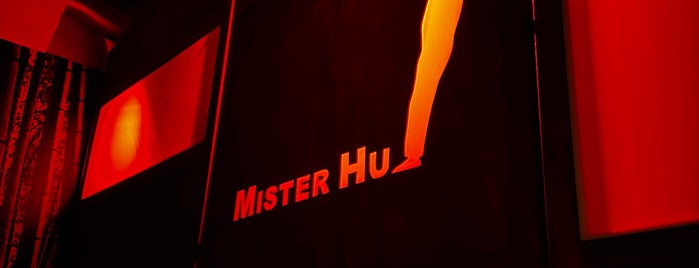 Mister Hu is one of Things to make and do.