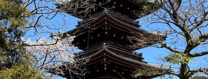 The Five-storied Pagoda of the Former Kan'ei-ji Temple is one of 日本の五重塔（国宝と重文）.