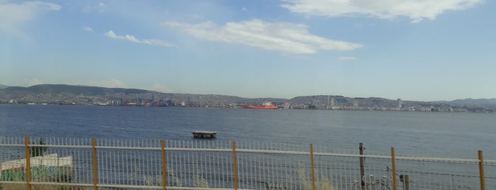 İzmir Arena is one of สถานที่ที่ Zafer ถูกใจ.