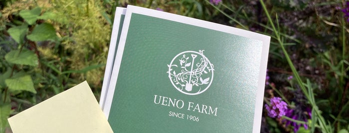Ueno Farm is one of Hokkaido for driving.