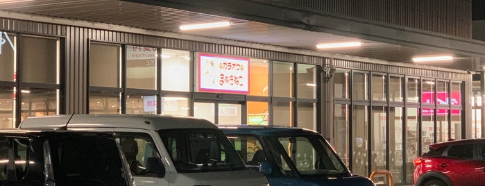 カラオケまねきねこ 君津中野店 is one of イオンタウン君津.