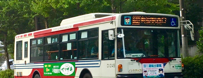 新宿消防署バス停 is one of 都営バス 橋63.