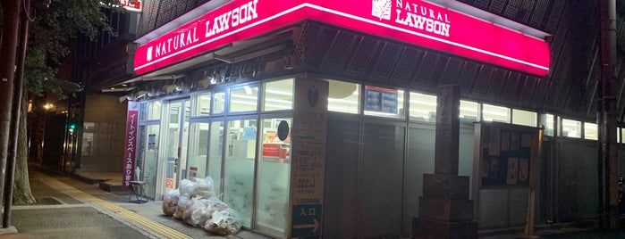 Natural Lawson is one of コンビニ中央区、台東区、文京区.