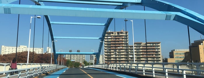 尾竹橋 is one of 隅田川の橋.