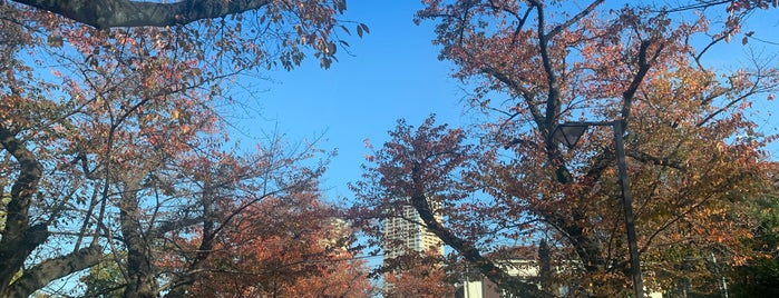 Yanaka Cemetery is one of Bobbie’s Liked Places.