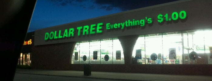 Dollar Tree is one of Felix’s Liked Places.