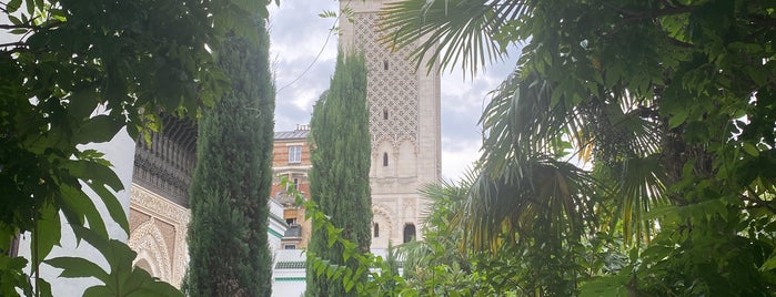 Grand Mosque of Paris is one of paris.