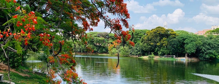 Dhanmondi Lake is one of top 10 place of entertainment.