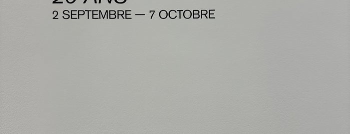Galerie Perrotin is one of Paname647.