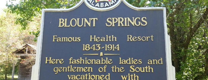 Blount Springs is one of Posti che sono piaciuti a Nancy.