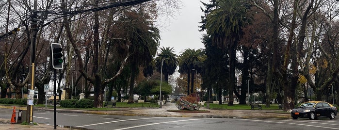 Plaza de Armas is one of Parques y plazas.