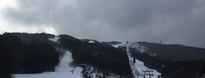 おーひらエリア 芸北国際スキー場 is one of 中国地方のスキー場.