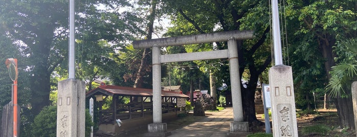 大井氷川神社 is one of 神社_埼玉.