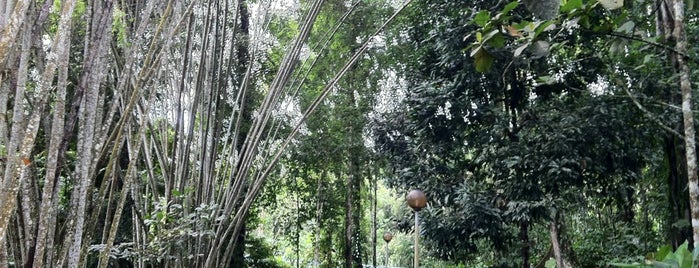 Poring Hot Spring & Nature Reserve is one of Sabah.