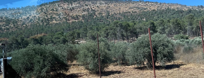 Tavor Mountain (הר תבור) is one of Sites to See in Israel.