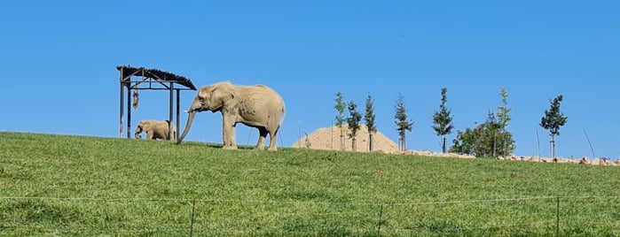 ZOO Lešná is one of Czechy.