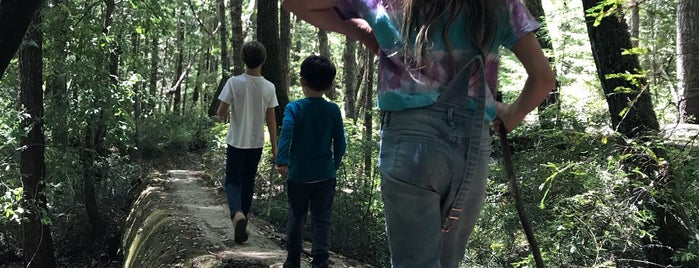 Creeping Forest Trail is one of Rob'un Beğendiği Mekanlar.