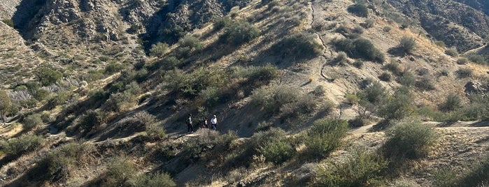 Big Morongo Canyon Preserve is one of Palm Springs.