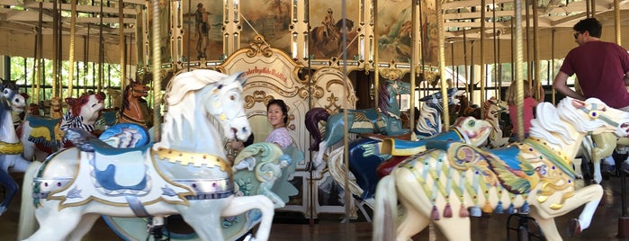 Golden Gate Park Carousel is one of I did it in 2018.