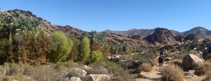 Andreas Canyon is one of lt's Saved Places.
