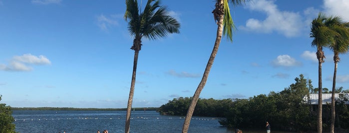 John Pennekamp Coral Reef State Park is one of :)  :O.