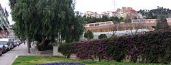 Parc de Pla de Fornells is one of Sitios Barcelona.