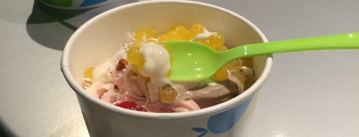 TCBY is one of Favorite Food.