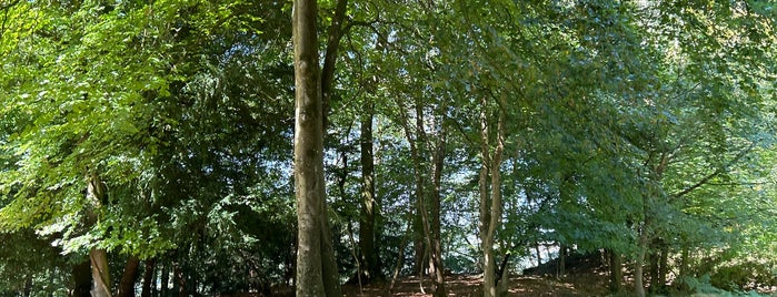 Forest of Dean is one of UK Filming Locations.