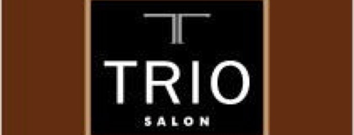 Trio Salon, Ltd. is one of Chicago.