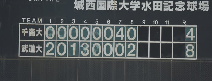 城西国際大学 水田記念球場 is one of baseball stadiums.