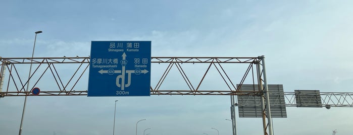 六郷橋 is one of 日本百名橋.