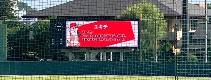 足利市総合運動場 硬式野球場 is one of baseball stadiums.