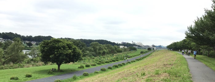 多摩川左岸 海から14Km is one of 多摩川.