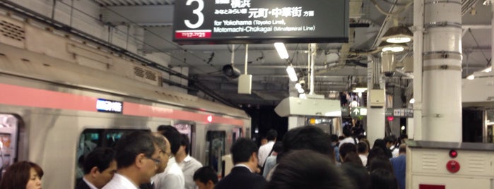 Kikuna Station is one of 東京急行電鉄（東急） Tokyu.