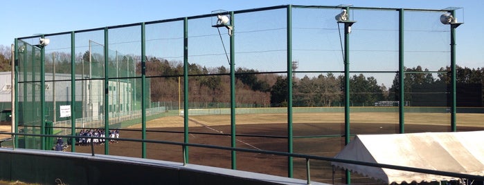 明治安田生命グリーンランド is one of baseball stadiums.