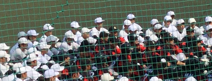 亜細亜大学硬式野球部グランド is one of Sigekiさんのお気に入りスポット.
