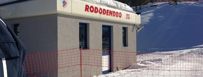 Rododendro is one of สถานที่ที่ Cristina ถูกใจ.