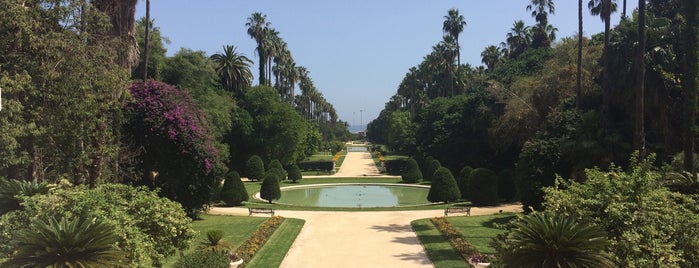Jardin d'essais d'El Hamma is one of Erol : понравившиеся места.